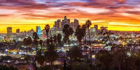 View of downtown Los Angeles skyline with palm trees at sunset panorama travel in California United Statesの写真素材