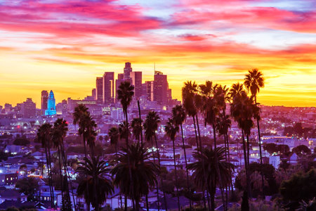 View of downtown Los Angeles skyline with palm trees at sunset travel in California United Statesの写真素材