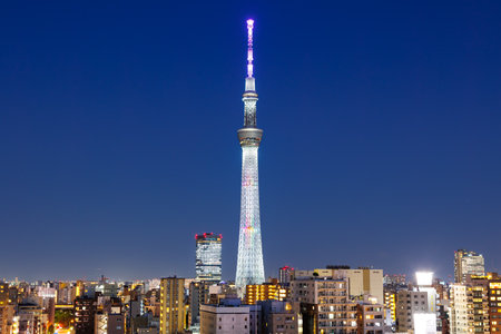 Tokyo SkyTree tower with skyline at twilight city in Japanの写真素材