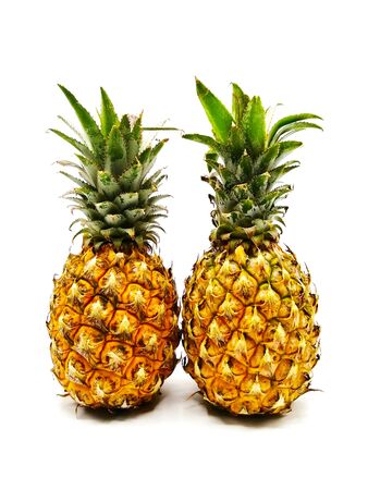 Two whole ripe pineapple fruit isolated on white backgroundの写真素材
