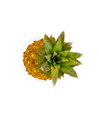 Top view of single whole ripe pineapple fruit isolated on white backgroundの写真素材