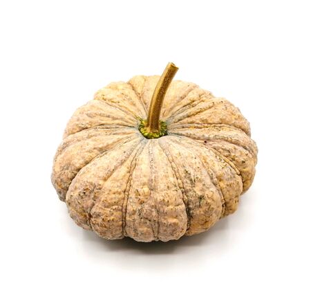 Fresh brown pumpkin isolated on white backgroundの写真素材