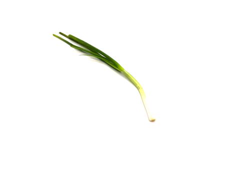A fresh ripe green Spring onion on white backgroundの写真素材