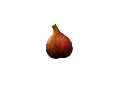 Closeup of fresh whole ripe common fig on white background.の写真素材
