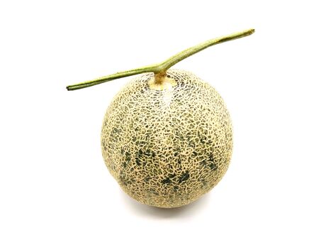 A melon isolated on white background. の写真素材