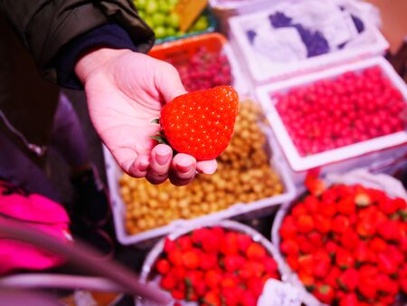 Fresh Organic Red Strawberry hold by hand.の写真素材
