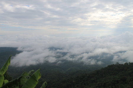 The cloudy sky with the green forest on the mountain