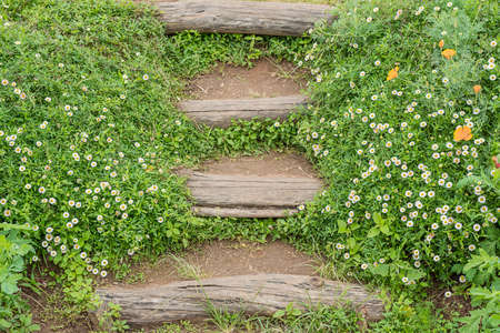 Stairs made of clay in garden