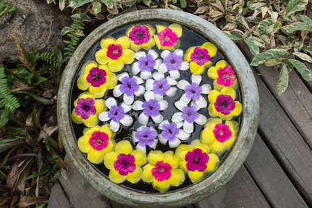Flower in jar in the garden.の写真素材