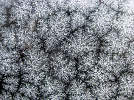 ice crystals
