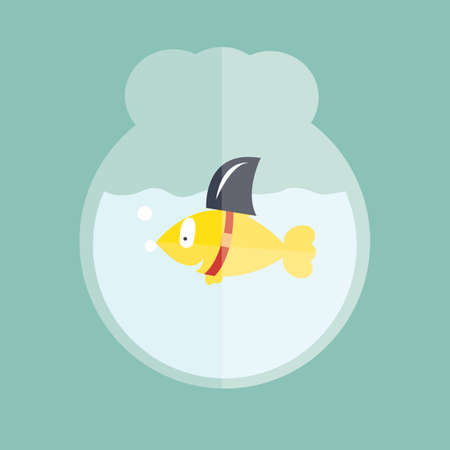 Fish with shark fin