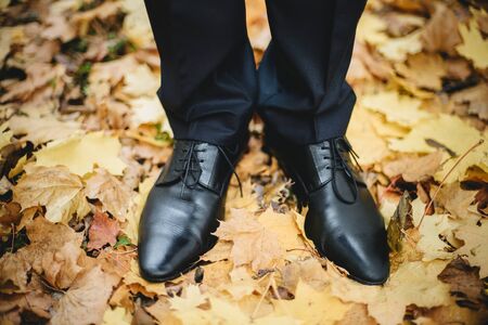 Closeup groom's wedding shoes on the ground with golden leafs in autumnの写真素材