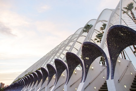 Beautiful view of the City of Arts and Sciences in Valencia, Spain