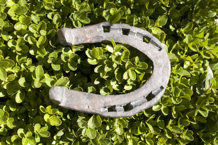 horseshoe for good luck の写真素材