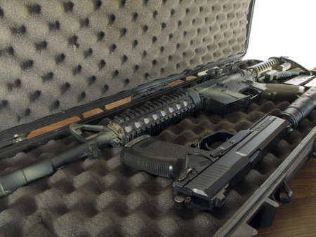 Guns in Soft Secure Storage Case