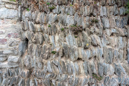 old stone wall bricks with flowers growing out of it , texturesの写真素材