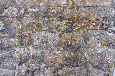 old stone wall with old yellow mould old textureの写真素材