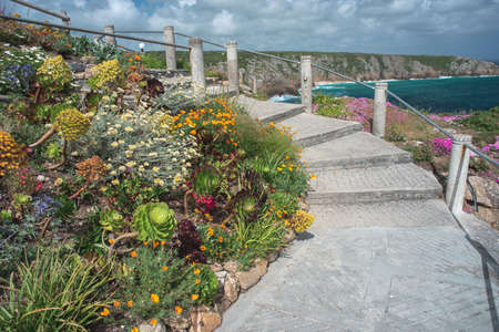 minack theatre garden beautiful flowers and plants subtropical gardenの写真素材