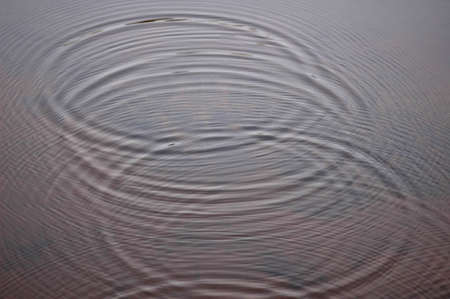 Water Ringsの写真素材