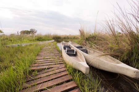 Mokoro moored by dock in Okavango Delta, Botswana, Novemberの写真素材