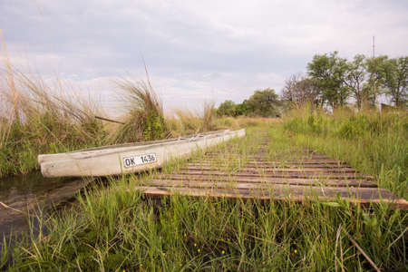 Mokoro moored by dock in Okavango Delta, Botswana, Novemberの写真素材