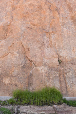 Grass patch in front of large rock wallの写真素材