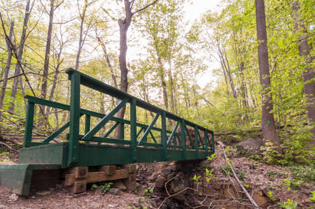 Wooden Footbridge in forest of New Jersey along hiking trail in early summerの写真素材