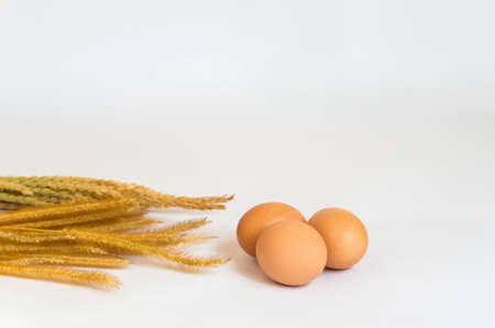eggs on background white