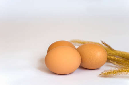 eggs on background white