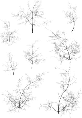 Some winter tree sのイラスト素材