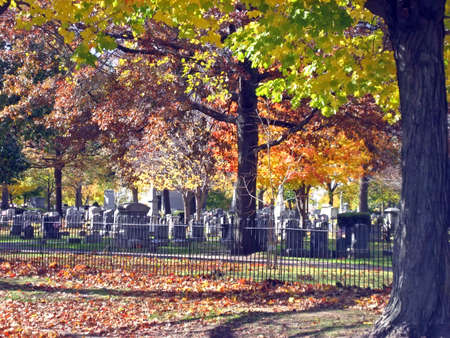 Cemetery As Seen Through An Iron Fence In The Autumnの写真素材