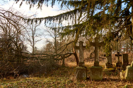 cemetery around Ternopilの写真素材