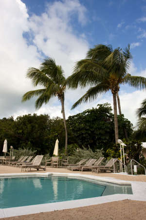 swimming pool with loungers, and no people in sightの写真素材