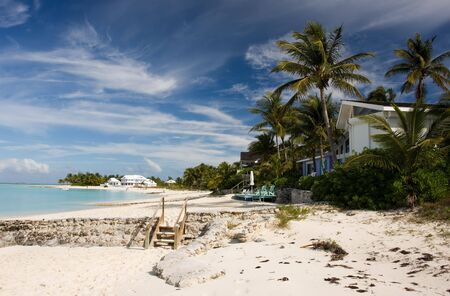beach front house with palm trees and patioの写真素材
