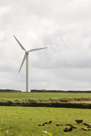 wind turbine electricity generator towers in summer