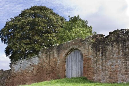 old wooden door in castle ruins wallの写真素材