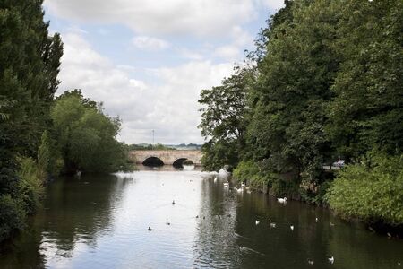 bridge over river with ducks and swansの写真素材