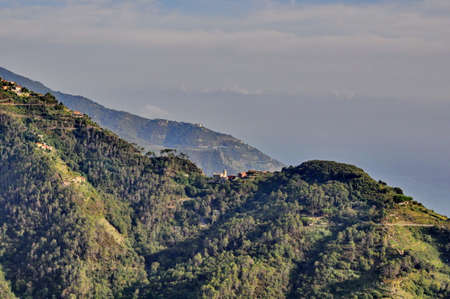 Vineyards in Cinque Terre, Italyの写真素材