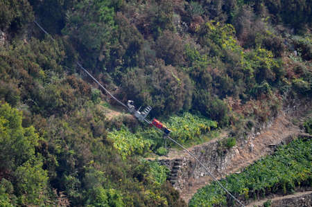 Vineyards in Cinque Terre, Italyの写真素材