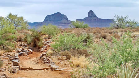 View of the Grand Canyon along the Plateau Point Trail.の写真素材