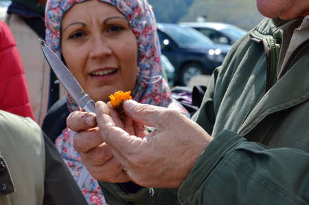 Abruzzo, Italy, September 29, 2015: People looking at wild mushrooms picked near Gran Sasso National Park, Abruzzo, Italyのeditorial素材