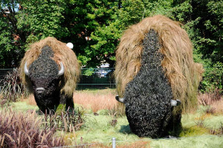 MosaiCulture 2018, Jacques Cartier Park, Gatineau, Quebec, Canada, 09/13/2018, Mother Earth; buffalo, one of the 45 horticultural masterpieces showcased at Jacques-Cartier Park in Gatineau.のeditorial素材