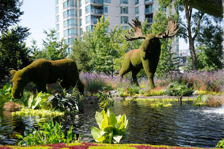 MosaiCulture 2018, Jacques Cartier Park, Gatineau, Quebec, Canada, 09/13/2018, Mother Earth; moose, one of the 45 horticultural masterpieces showcased at Jacques-Cartier Park in Gatineau.のeditorial素材