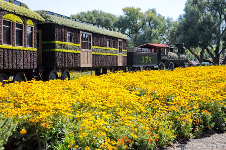 MosaiCulture 2018, Jacques Cartier Park, Gatineau, Quebec, Canada, 09/13/2018,   All aboard! Engine...