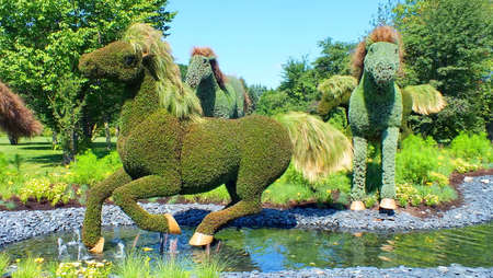 MOSAICULTURES INTERNATIONAL 2013, MONTREAL BOTANICAL GARDEN, Montreal, Quebec, Canada.  Canadian entry: Mother Earth, horses over waterのeditorial素材