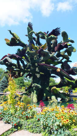 MOSAICULTURES INTERNATIONAL 2013 in Montreal, Quebec, Canada, Montreal entry: The Bird Tree.
