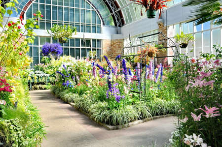 Auckland, New Zealand - December 5, 2016:  View of flowers growing inside the tropical hot house at the Auckland Domain Winter Garden, New Zealand.のeditorial素材