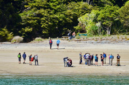 Abel Tasman National Park, South Island, New Zealand, November 11, 2016: Hikers on the Anchorage Beach in Abel Tasman National Park.のeditorial素材