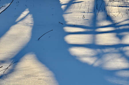 Shadow on snow in winter in Ontario, Canada.の写真素材