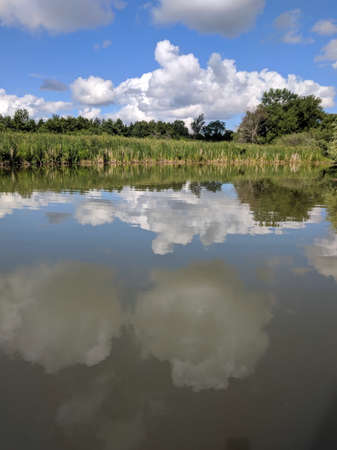 Duffins Creek Wetlands.  The Lower Duffins Creek Wetlands is a 20 hectares wetlands that was...